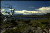Craddle Mountain National Parc